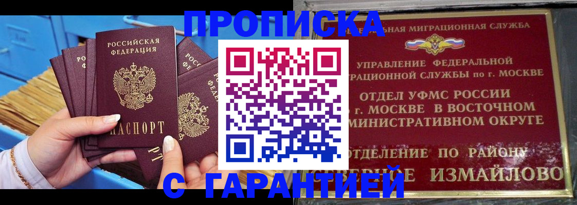 прописка поиск в Новгородской области